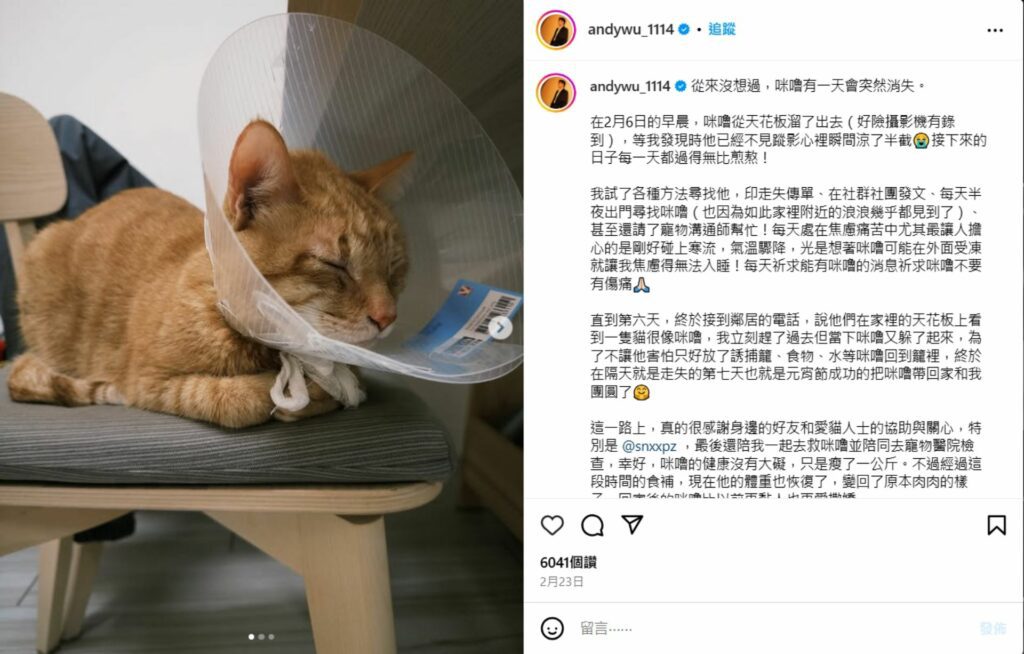 養貓讓他開始學會放下自私、照顧他人（圖片來源／吳岳擎IG）