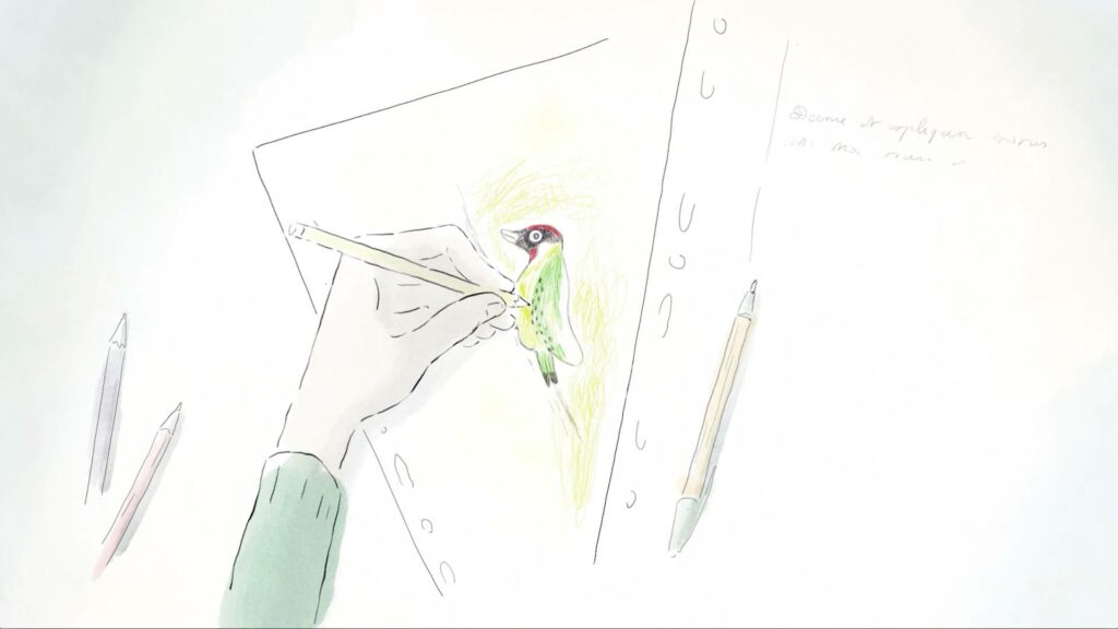 呈現動植物原本的樣貌，是導演堅持的創作方向。