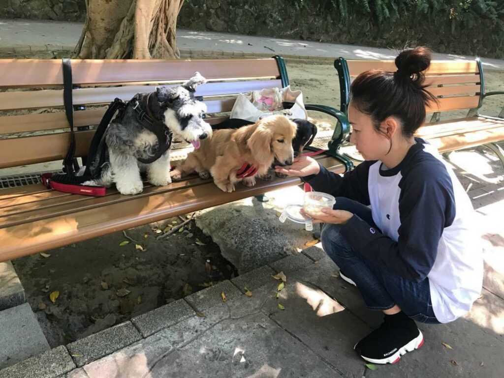 潘慧如社群上紀錄著許多和毛小孩的生活點滴。