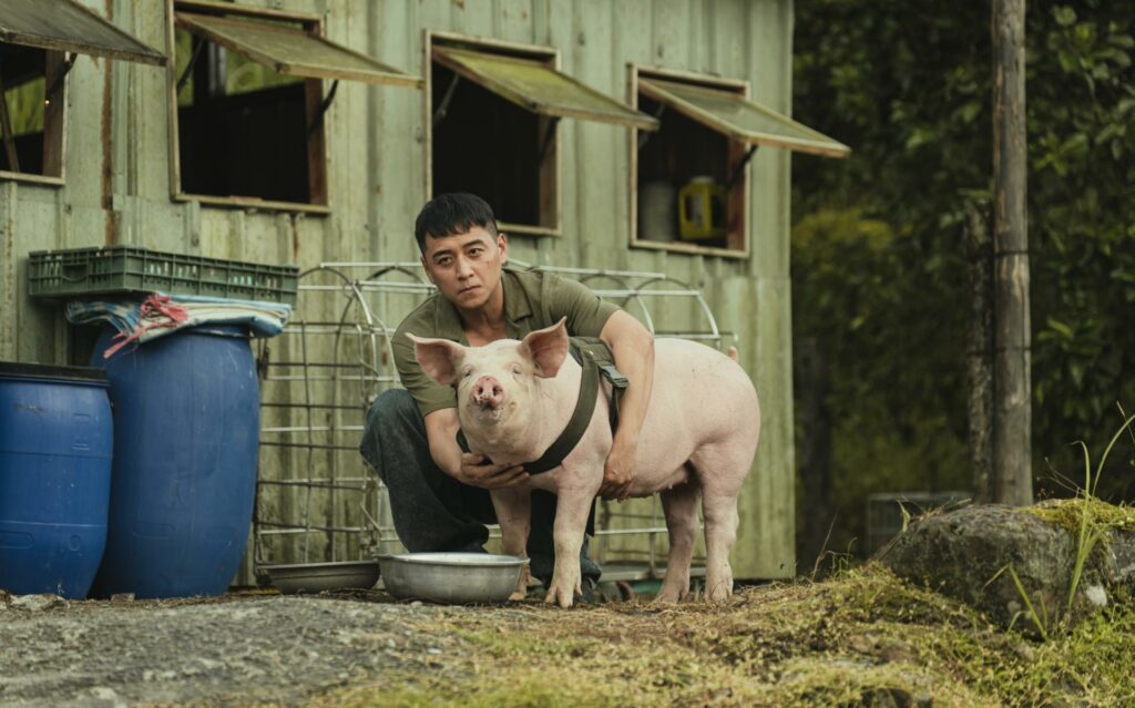 〈豬人〉裡的豬隻使用多種特效技術，在影集裡讓觀眾真假難辨。（圖／LINE TV）