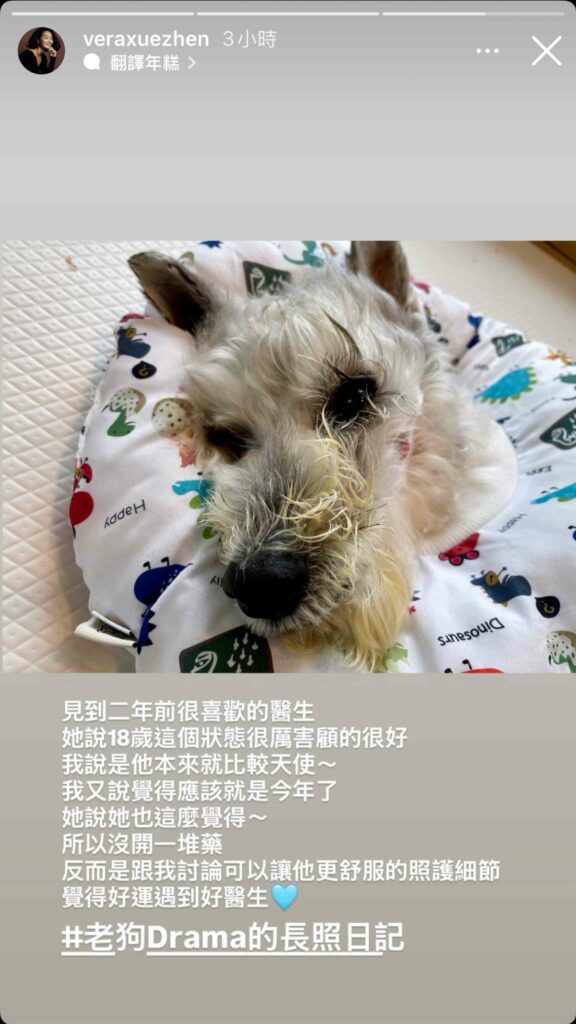 照顧愛犬Drama的日子裡，陳雪甄也在學著放鬆。（陳雪甄IG限動）