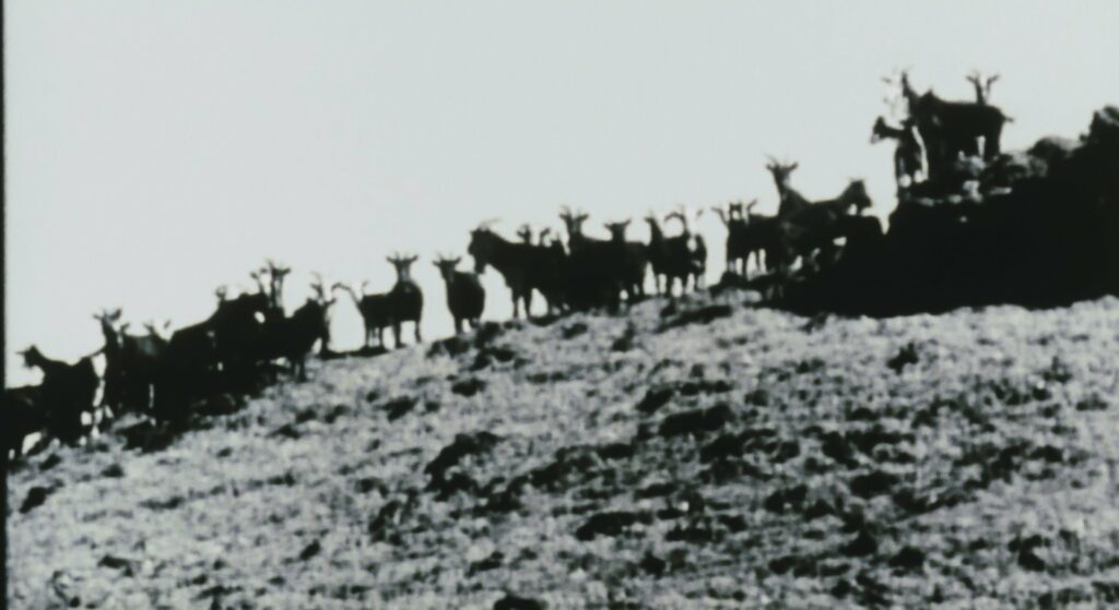 《噤聲三角》全片無聲，導演沈可尚讓攝影機保持距離感。